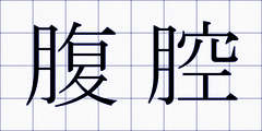 腹腔
