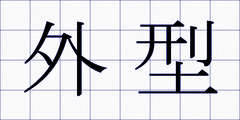 外型