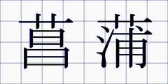 菖蒲