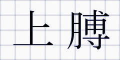 上膊