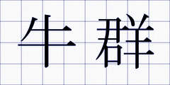 牛群