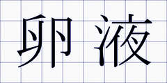 卵液
