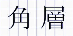 角層