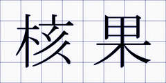 核果