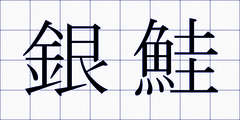 銀鮭