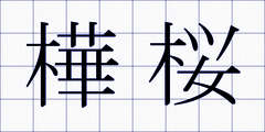樺桜