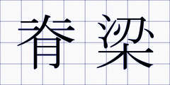 脊梁
