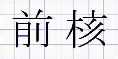 前核