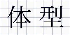 体型