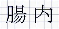 腸内