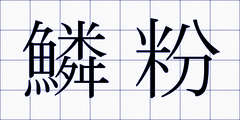 鱗粉