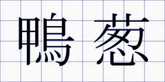 鴨葱
