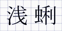 浅蜊