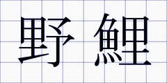 野鯉