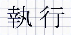 執行