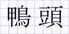 鴨頭