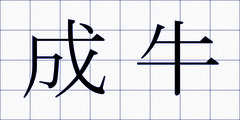成牛