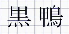 黒鴨