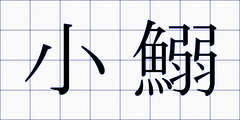 小鰯