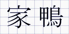 家鴨