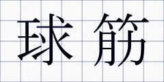 球筋