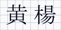 黄楊