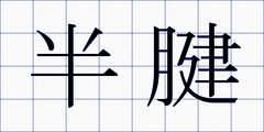 半腱
