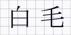 白毛