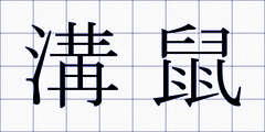溝鼠