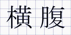 横腹