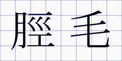 脛毛