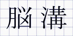 脳溝