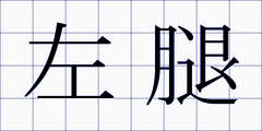 左腿