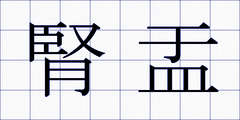 腎盂