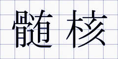 髄核