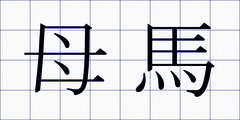 母馬