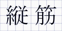 縦筋