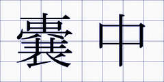 嚢中