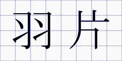 羽片