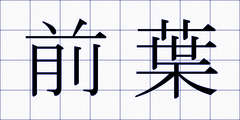 前葉