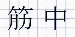 筋中