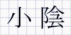 小陰