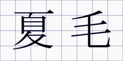 夏毛