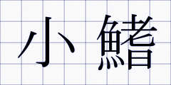 小鰭