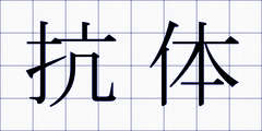 抗体