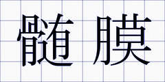 髄膜