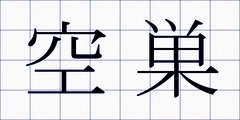 空巣