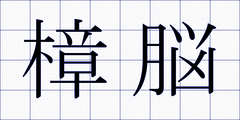 樟脳
