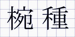 椀種