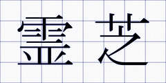 霊芝
